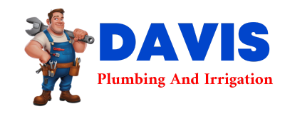 Trusted plumber in MILTONA